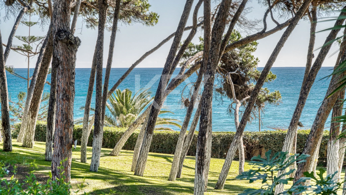 A beachfront oasis of luxury - unmatched amenities, stunning views, and impeccable service in Marbella Golden Mile