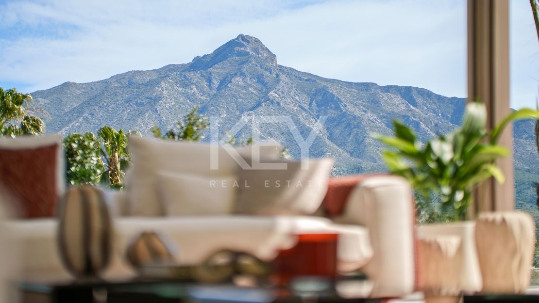 Spacious Villa with lots of Light and La Concha View in Marbella