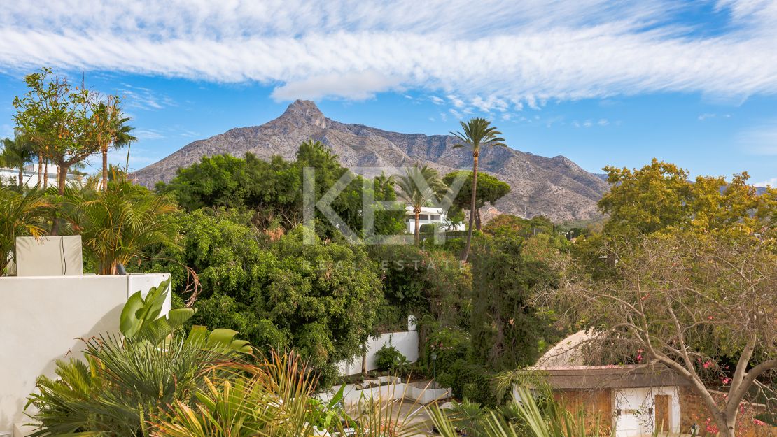 Renovated apartment with mountain views and private pool on the Golden Mile