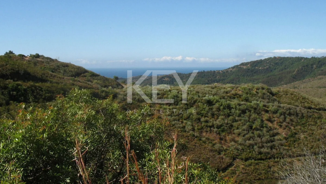 Oportunidad de desarrollo privilegiada en Benahavís