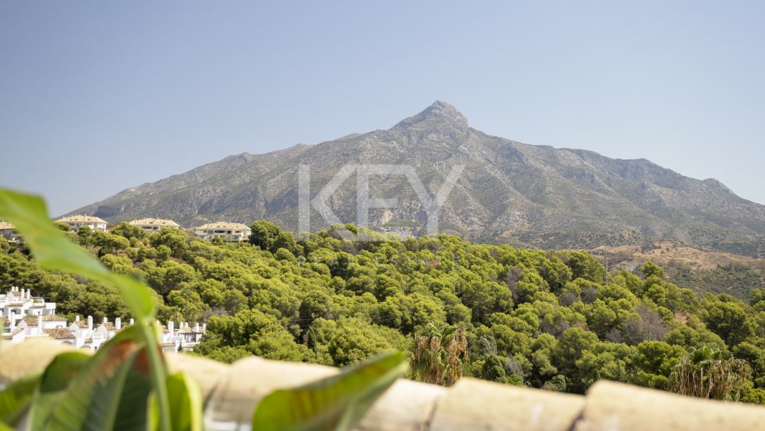 Stylish renovated townhouse with sea and mountain views in Aloha