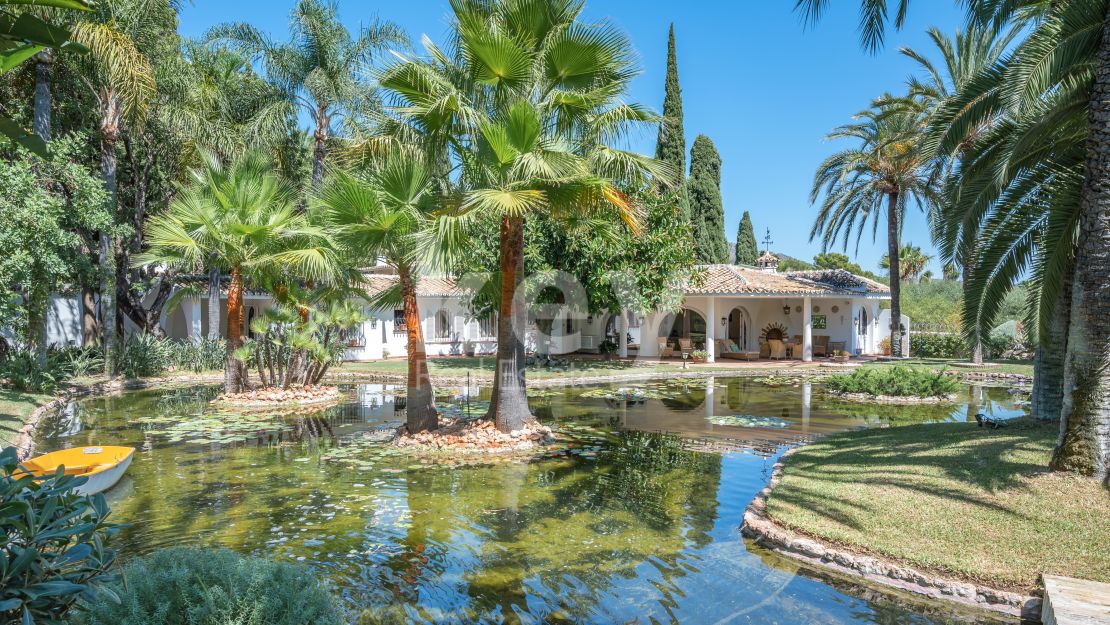 Spectacular bungalow in Nagüeles, Marbella