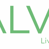 Salvia