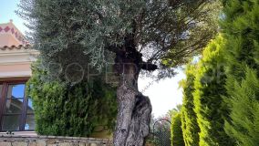 5 bedrooms villa for sale in Nueva Andalucia