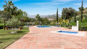Apartamento Planta Baja en venta en Marbella Este