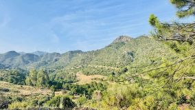 Terrain for sale in Monte Mayor, Benahavis