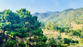 Terrain for sale in Monte Mayor, Benahavis