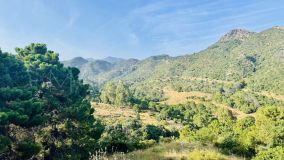 Terrain for sale in Monte Mayor, Benahavis