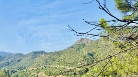Terrain for sale in Monte Mayor, Benahavis