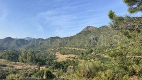 Grundstück zu verkaufen in Monte Mayor, Benahavis