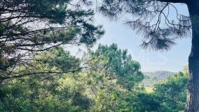 Terrain for sale in Monte Mayor, Benahavis