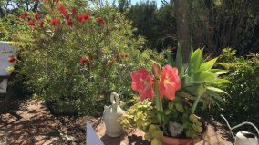 Maison de campagne for sale in El Padron, Estepona Est