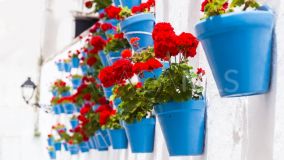 Hotel zu verkaufen in Casco antiguo, Marbella City