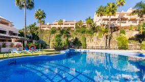 Apartamento en venta en Nueva Andalucia, Marbella