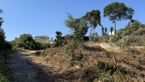 Sotogrande plot for sale