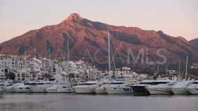 Commercial Premises for sale in Marbella - Puerto Banus