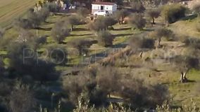1 bedroom Alhaurin el Grande country house for sale