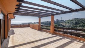 3 bedrooms duplex penthouse in Casares Playa for sale