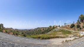 Plot for sale in Real de La Quinta, Benahavis