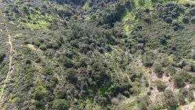 Plot for sale in Estepona