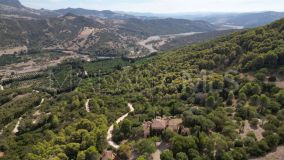 Finca zu verkaufen in Gaucin