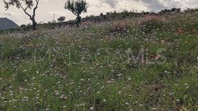 Plot for sale in Almogia