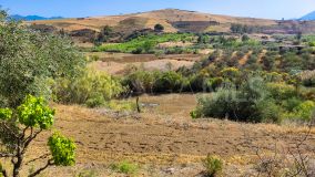 Terrain for sale in Coin Centro