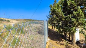 Terrain for sale in Coin Centro
