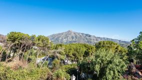 Ground Floor Duplex for sale in Nueva Andalucia, Marbella