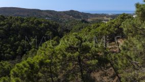 Plot for sale in Marbella Club Golf Resort, Benahavis