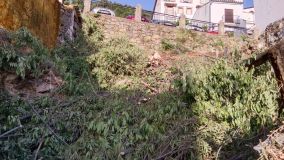 Plot for sale in Benarraba