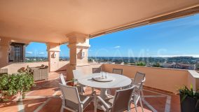 Appartement for sale in Albatross Hill, Nueva Andalucia
