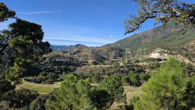 Grundstück zu verkaufen in La Zagaleta, Benahavis