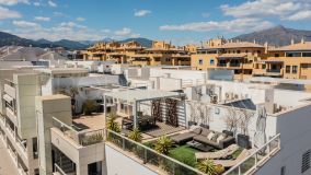 Penthouse with roof-top terrace in San Pedro