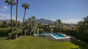 Villa for sale in Las Brisas del Golf, Nueva Andalucia