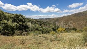 Plot for sale in Benahavis Centro