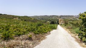 Parcela en venta en Doña Julia, Casares