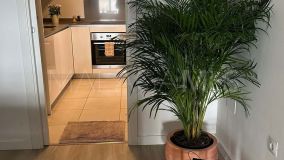 Appartement for sale in Nueva Andalucia, Marbella