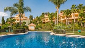 Apartment for sale in Cumbres del Rodeo, Nueva Andalucia