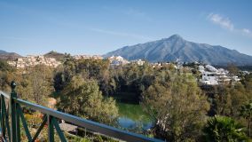 Apartment for sale in Palacetes Los Belvederes, Nueva Andalucia