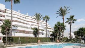 Nueva Andalucia, apartamento planta baja en venta