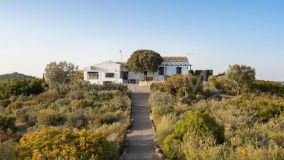 Ferme for sale in Villanueva del Rosario