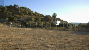 San Martin del Tesorillo 3 bedrooms country house for sale