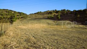 San Martin del Tesorillo 3 bedrooms country house for sale