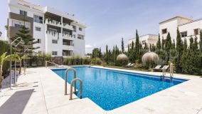 Apartments and penthouses in Nueva Andalucia