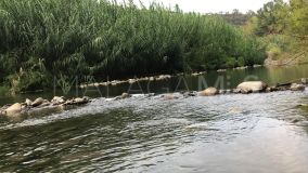 Finca zu verkaufen in Genalguacil