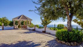Finca en venta en Estepona Centro, Estepona Ciudad