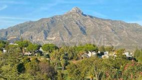 Ground Floor Apartment for sale in Los Dragos, Nueva Andalucia