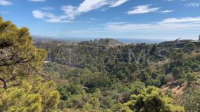 Parcela en venta en El Madroñal, Benahavis
