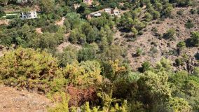 Plot for sale in El Madroñal
